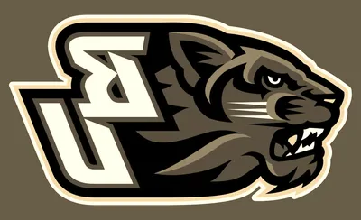 Binghamton Bearcats