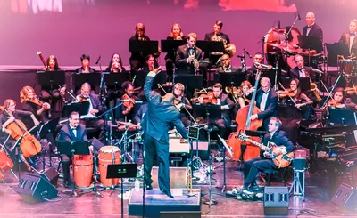 Chicago Jazz Orchestra