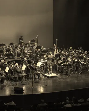 Chicago Philharmonic: Edward Scissorhands In Concert