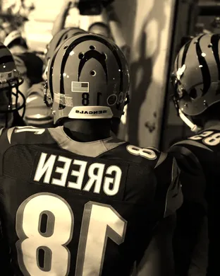 NFL Preseason: Cincinnati Bengals vs. Chicago Bears sports event