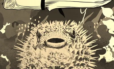 Fugu Dugu