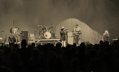 Hippo Campus