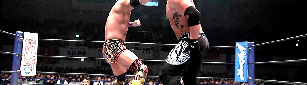 New Japan Pro Wrestling