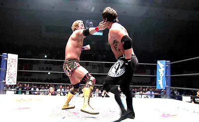 New Japan Pro Wrestling