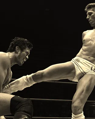 New Japan Pro Wrestling