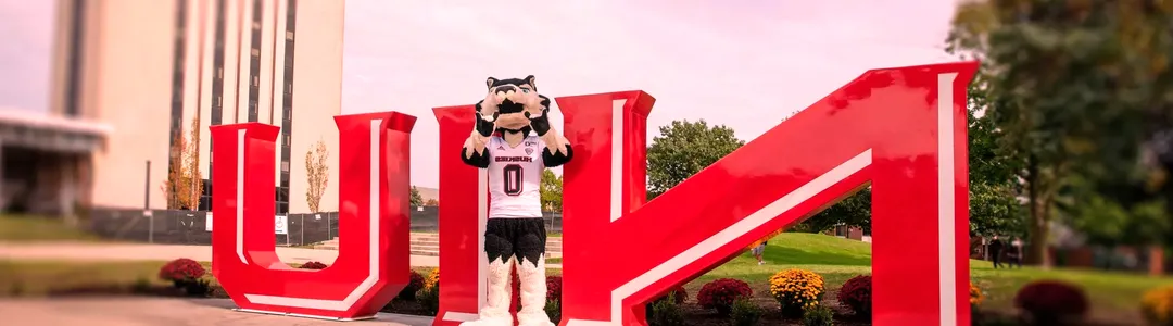 Northern Illinois Huskies Football