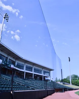 Schaumburg Boomers vs. Gateway Grizzlies