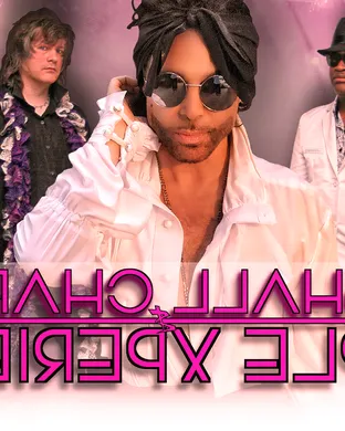 The Purple Xperience