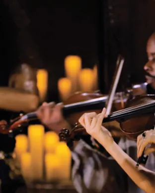 Vitamin String Quartet