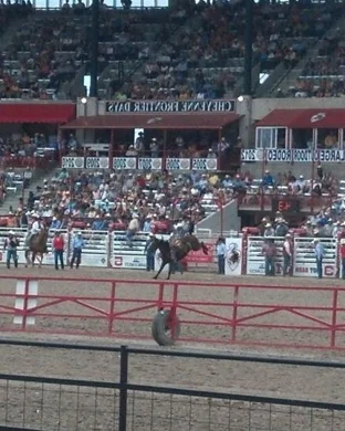 ABP Rodeo & Bull Riding